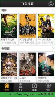 飞鱼网视频,揭秘XX领域的精彩瞬间